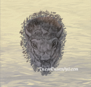 300x288 Buffalo Head Drawings