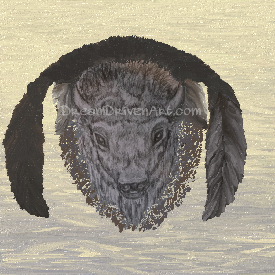 900x900 Buffalo Head Drawings Part 2