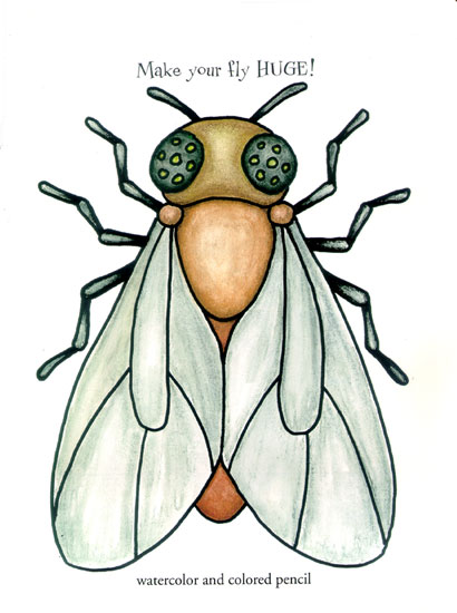 410x550 Ralph Masiello's Bug Drawing Book, Image