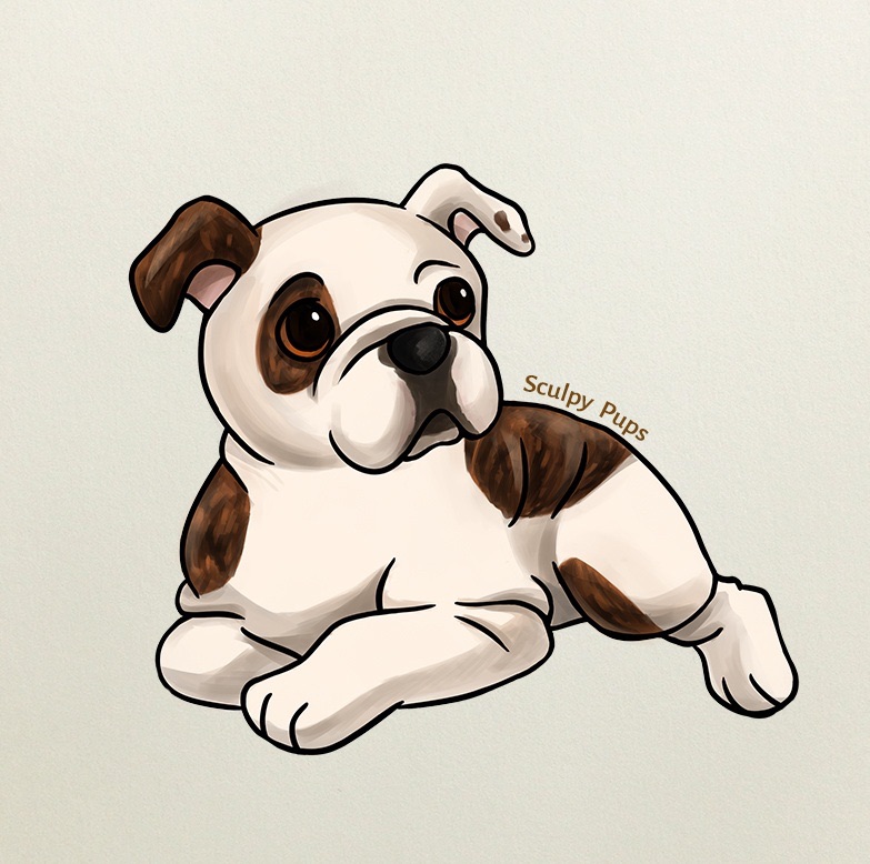 783x778 Bulldog Pup Drawing By Sculptedpups
