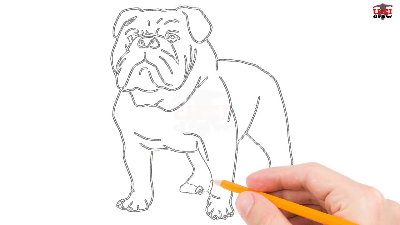 1280x720 How To Draw A Bulldog Step By Step Easy For Beginnerskids