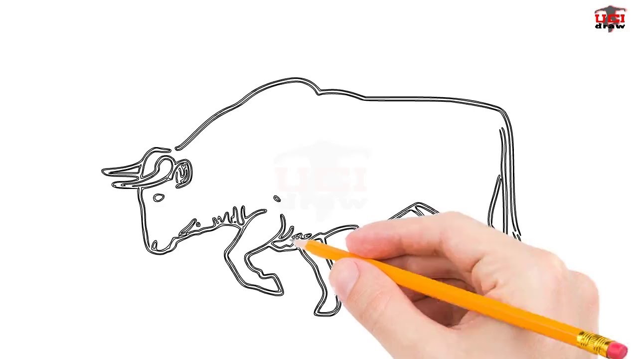 1280x720 How To Draw A Bull Step By Step Easy For Beginnerskids Simple