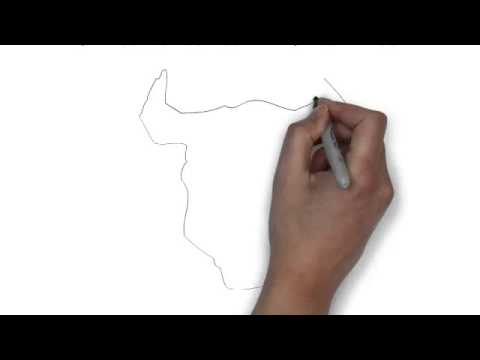 480x360 How To Draw A Black And White Face Of A Bull