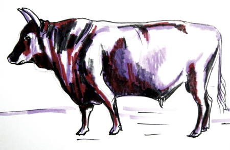 450x294 How To Draw A Bull