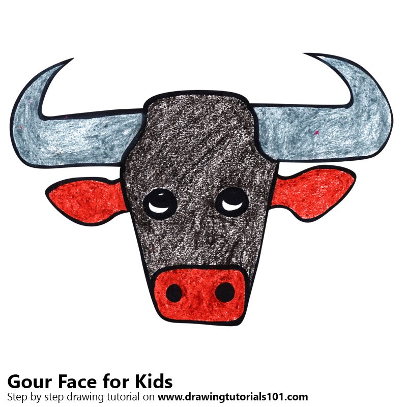 800x800 Learn How To Draw A Gour Face For Kids (Animal Faces For Kids