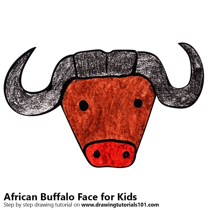 800x800 Learn How To Draw An African Buffalo Face For Kids (Animal Faces