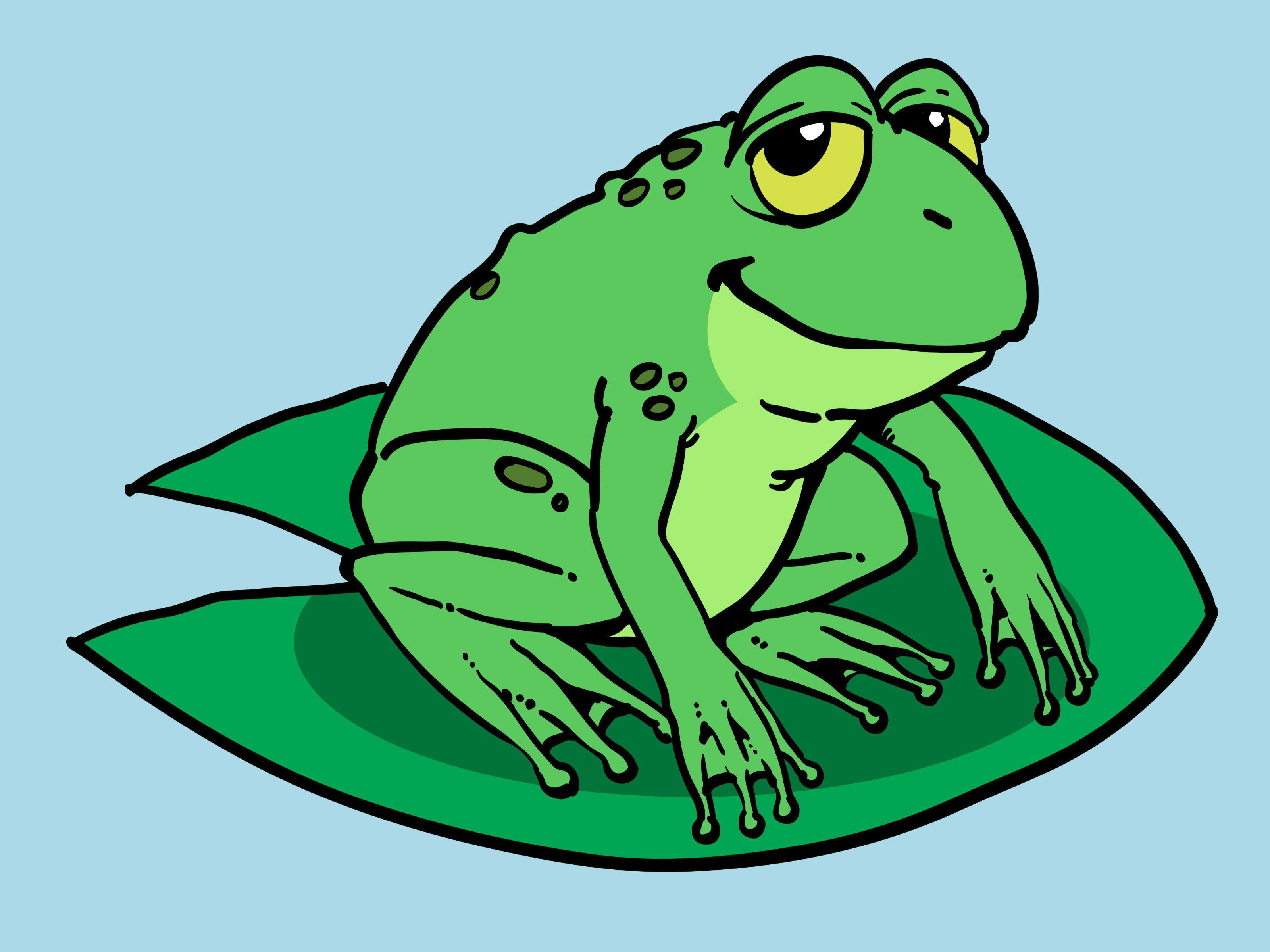 3200x2400 How To Draw A Cartoon Frog 10 Steps (With Pictures)