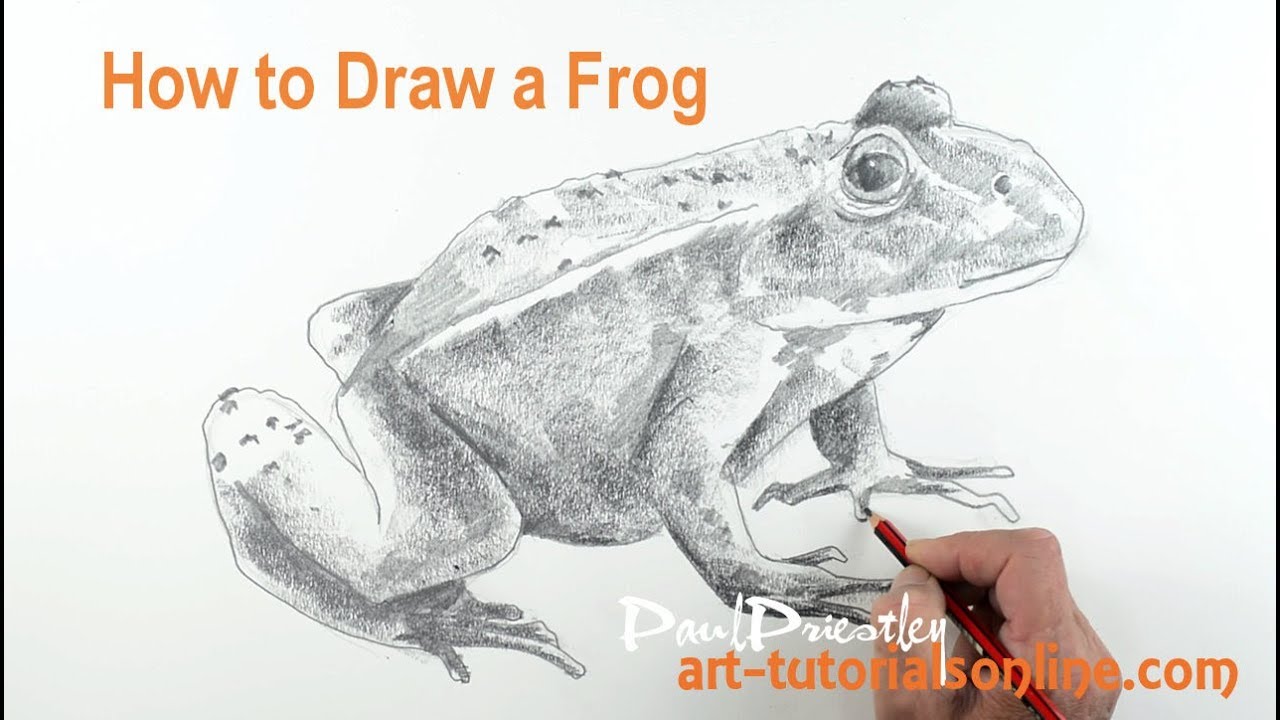1280x720 How To Draw A Frog