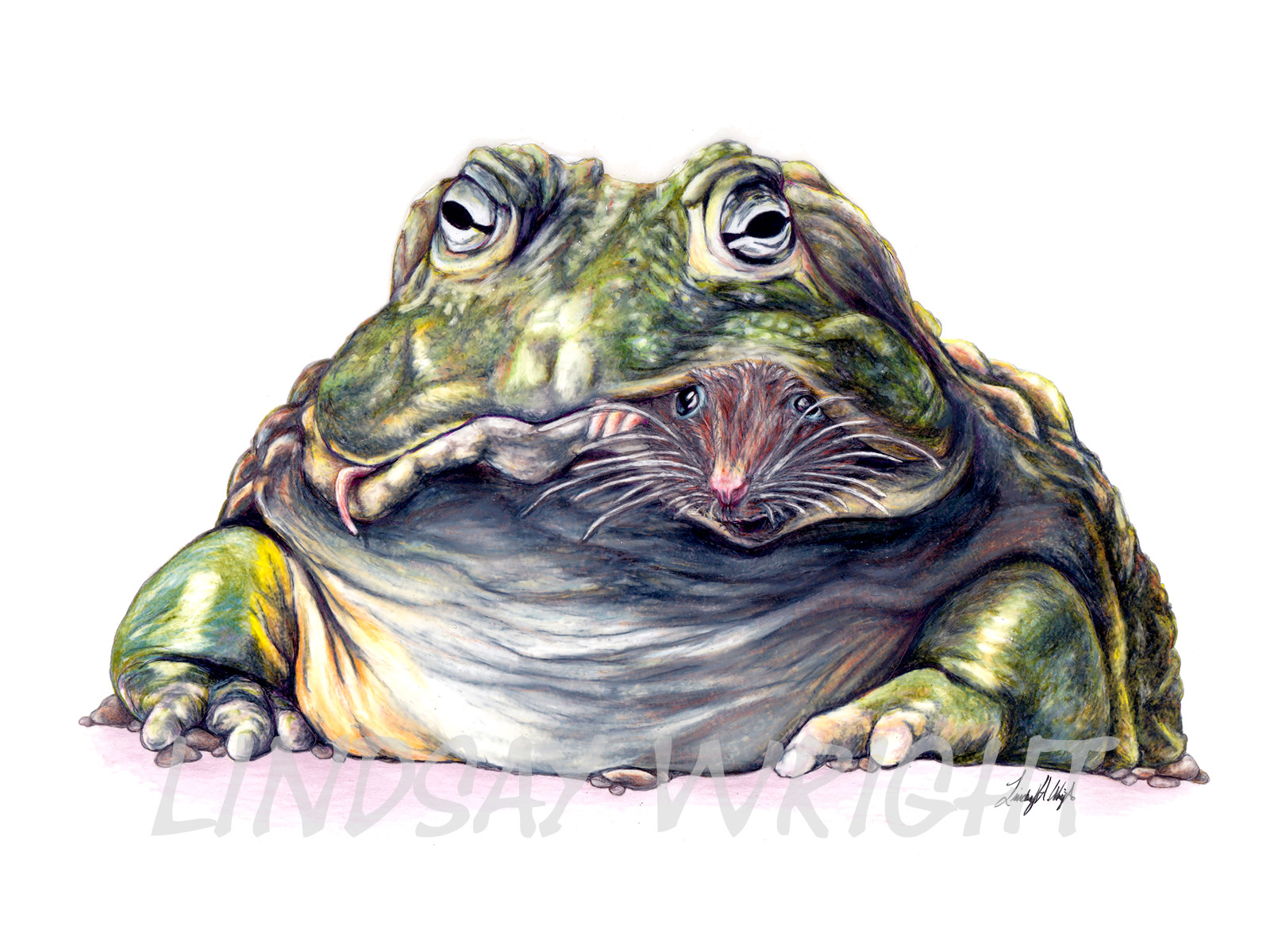 1600x1200 Lindscience