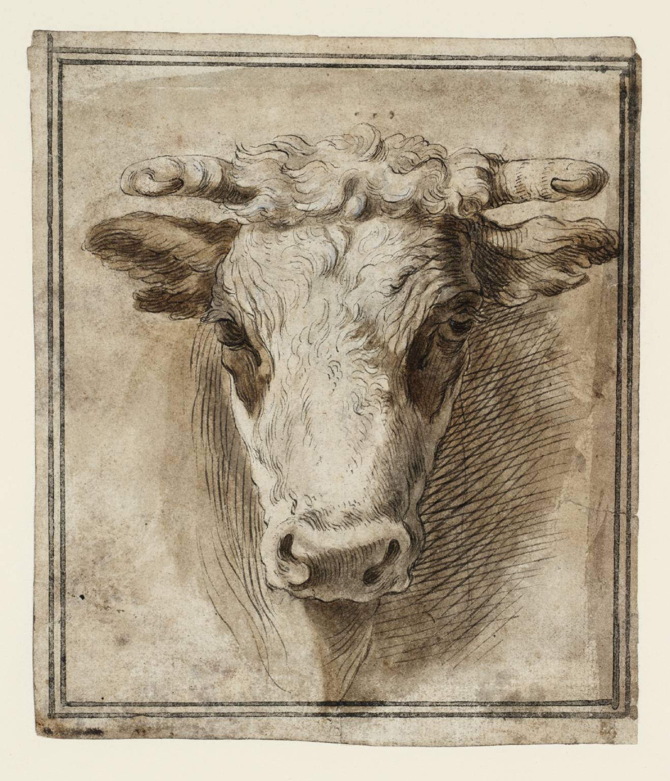 1318x1536 Front View Of A Bull's Head', Joseph Highmore Tate