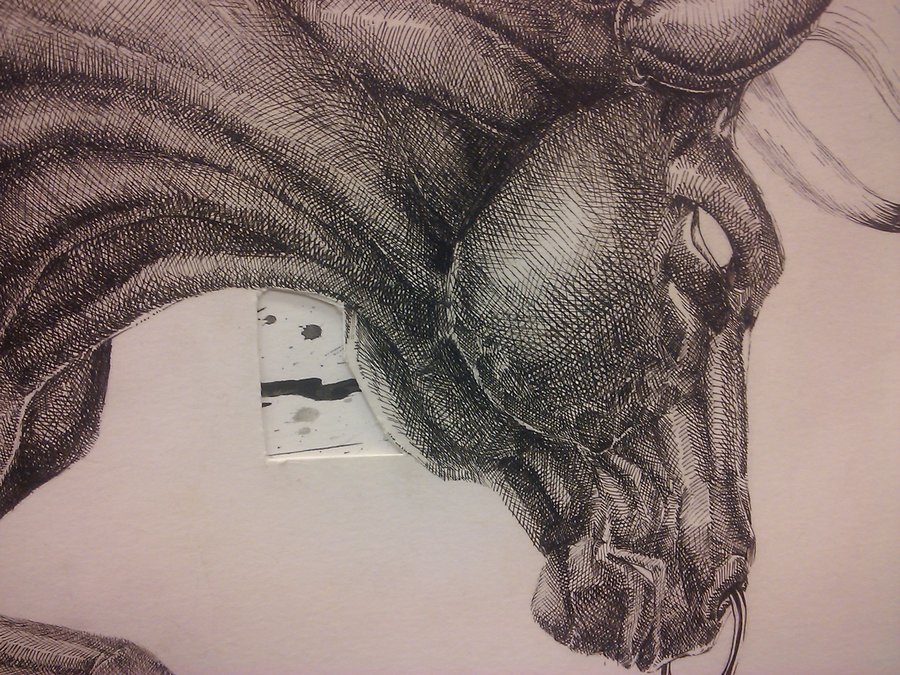 900x675 Bull Head By Blackheart000x