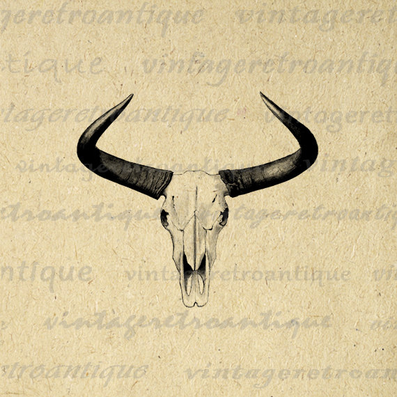 570x570 Bull Horns Digital Image Western Horns Graphic Printable Cow Skull