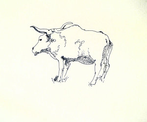 300x249 Bull Horns Drawings