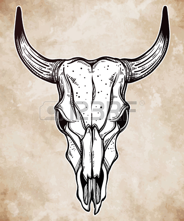 375x450 Bull Skull Stock Photos. Royalty Free Business Images