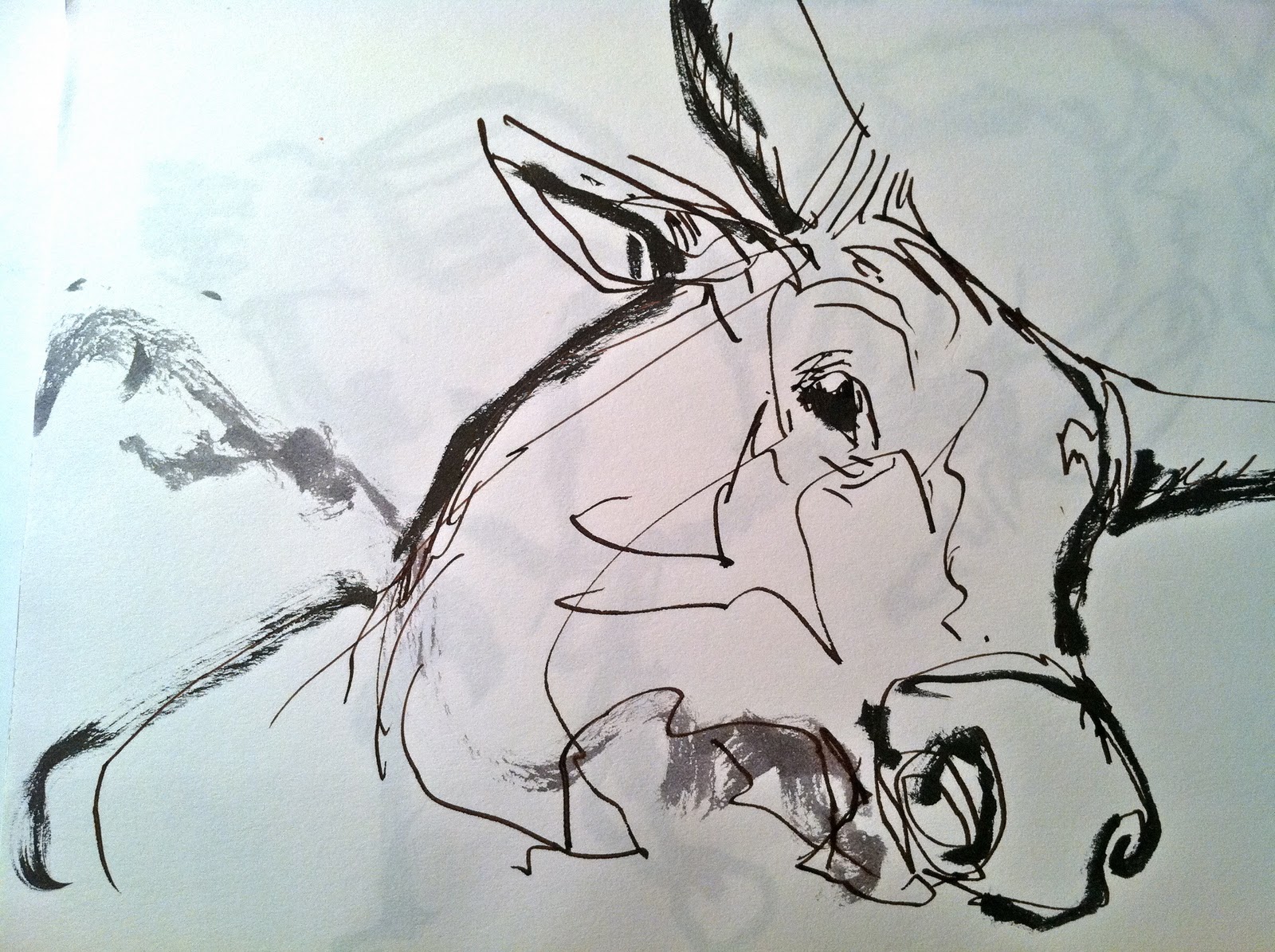 1600x1195 Went Sketching Sketch A Roo! At The Bull Riding Invitational.