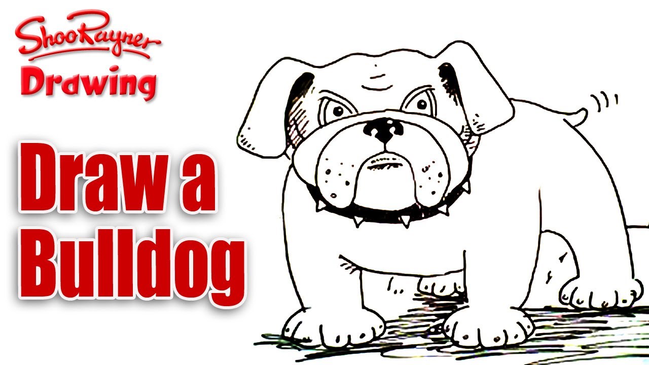 1280x720 Copy Of How To Draw A Bulldog