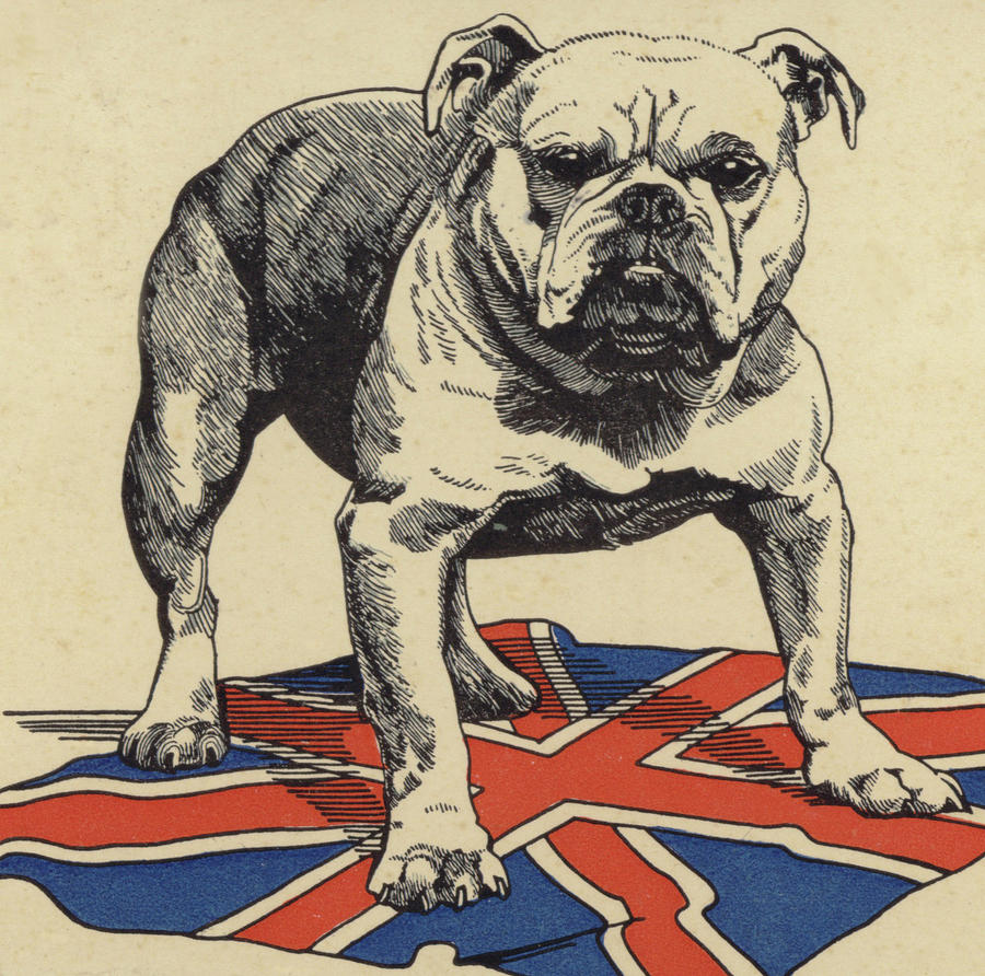 900x892 British Bulldog Standing On The Union Jack Flag Drawing By English