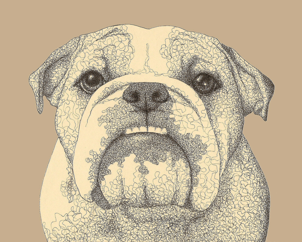 1024x819 Bulldog Drawing Erinkejo