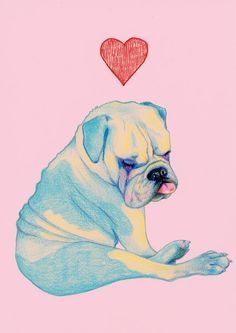 236x333 Easy Chalk Pastel Drawings Of Bulldogs Step By Step