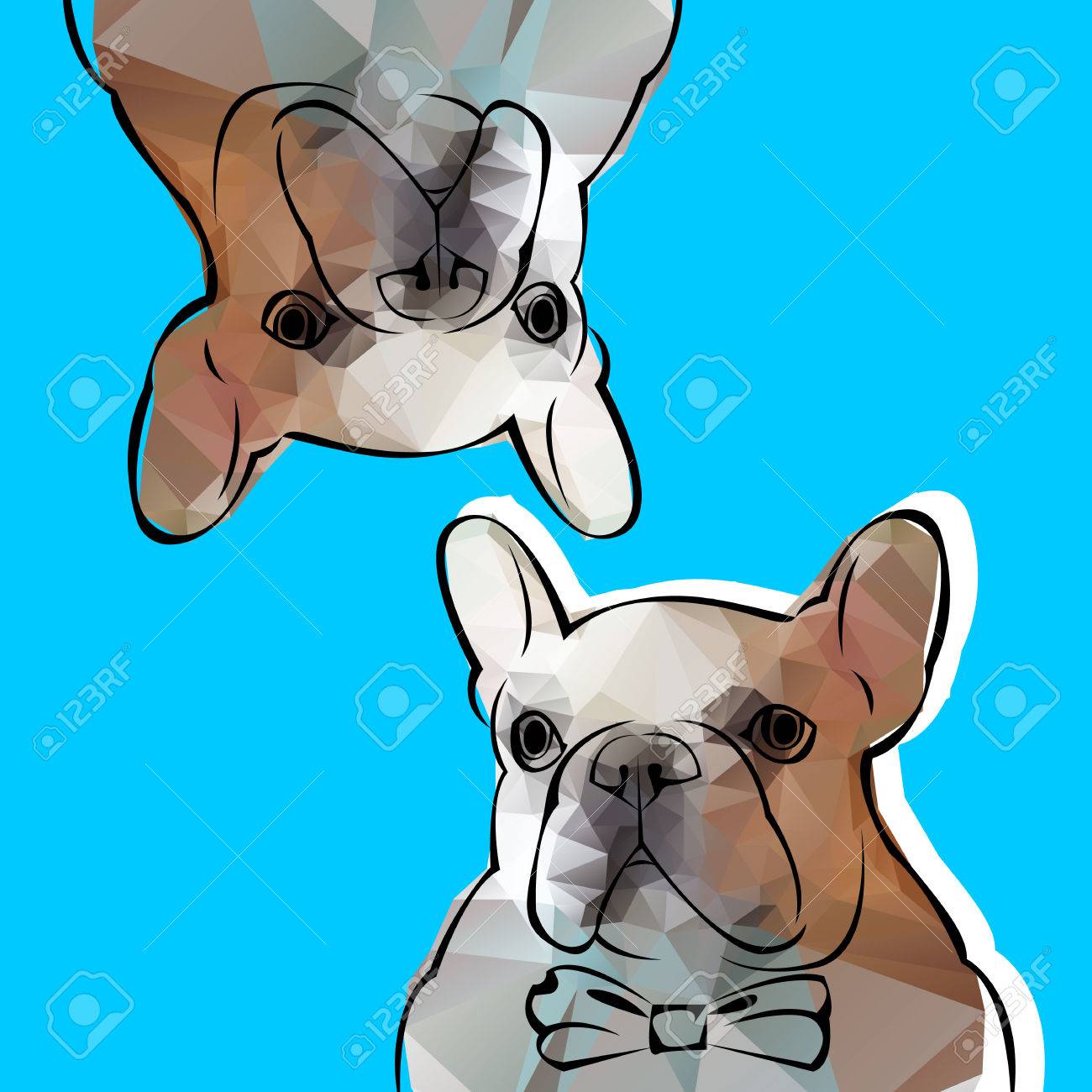 1300x1300 Bulldog, Dog, Animal, French, Vector, Illustration, Pet, Breed