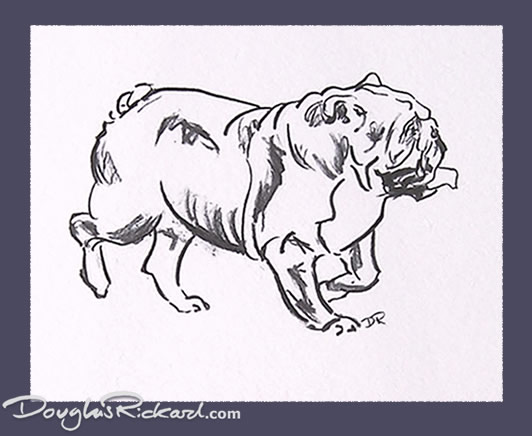 532x436 Bulldog Drawing