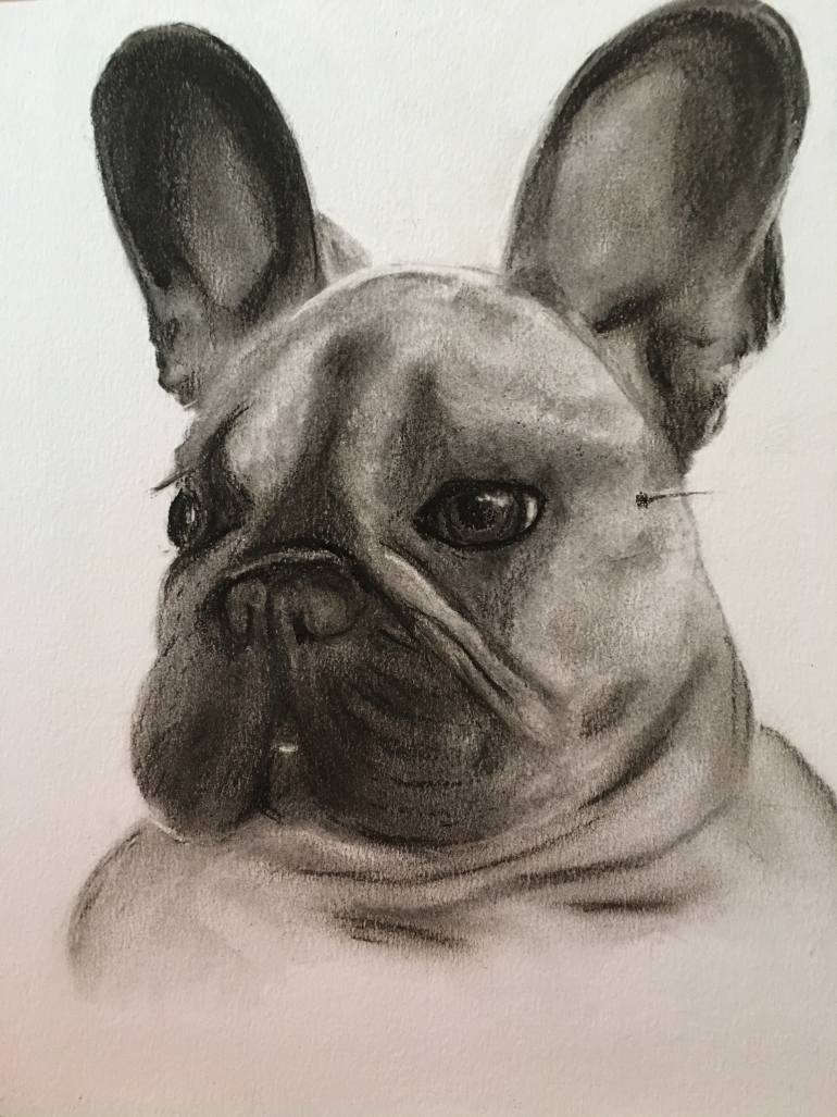 770x1027 Saatchi Art French Bulldog Alphie Drawing By Julie E Smith