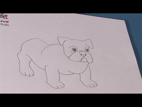 480x360 How To Practice Drawing Bulldog