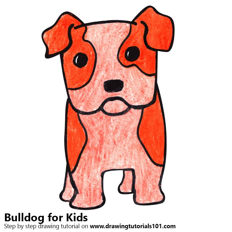 800x800 Learn How To Draw A Bulldog For Kids (Animals For Kids) Step By