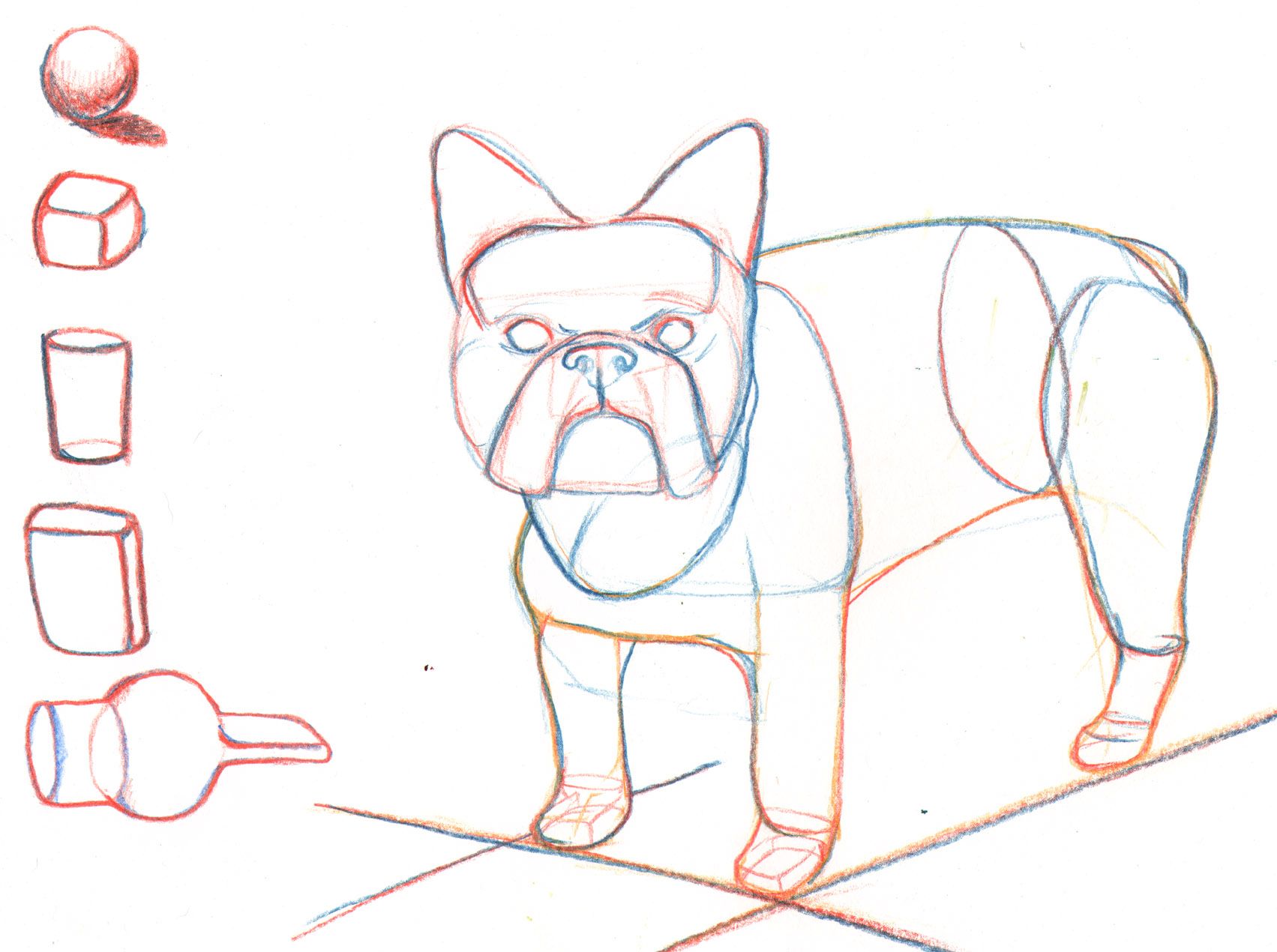 1703x1270 French Bulldog Draw