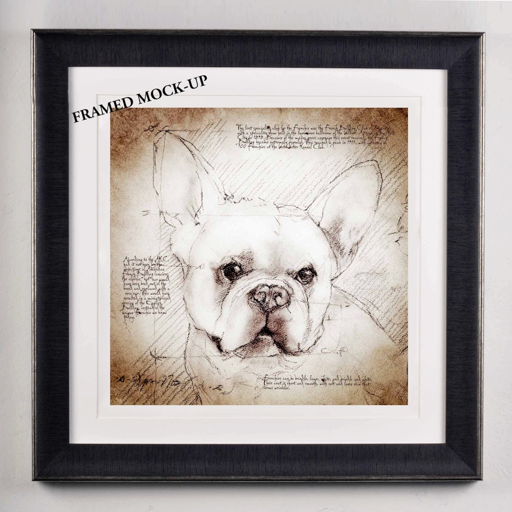 1000x1000 French Bulldog Face Detail Of A Da Vinci Style Drawing