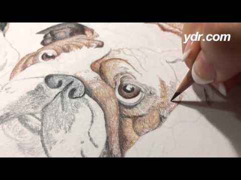 480x360 How I Draw The Fur On