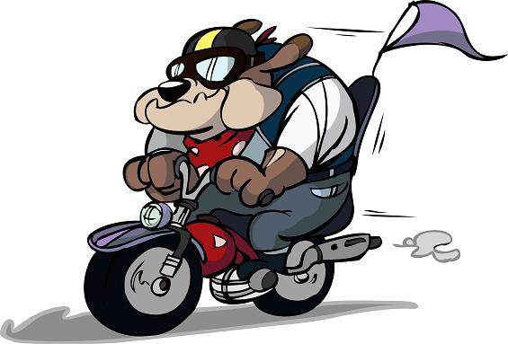 565x383 Biker Bulldog Mascot