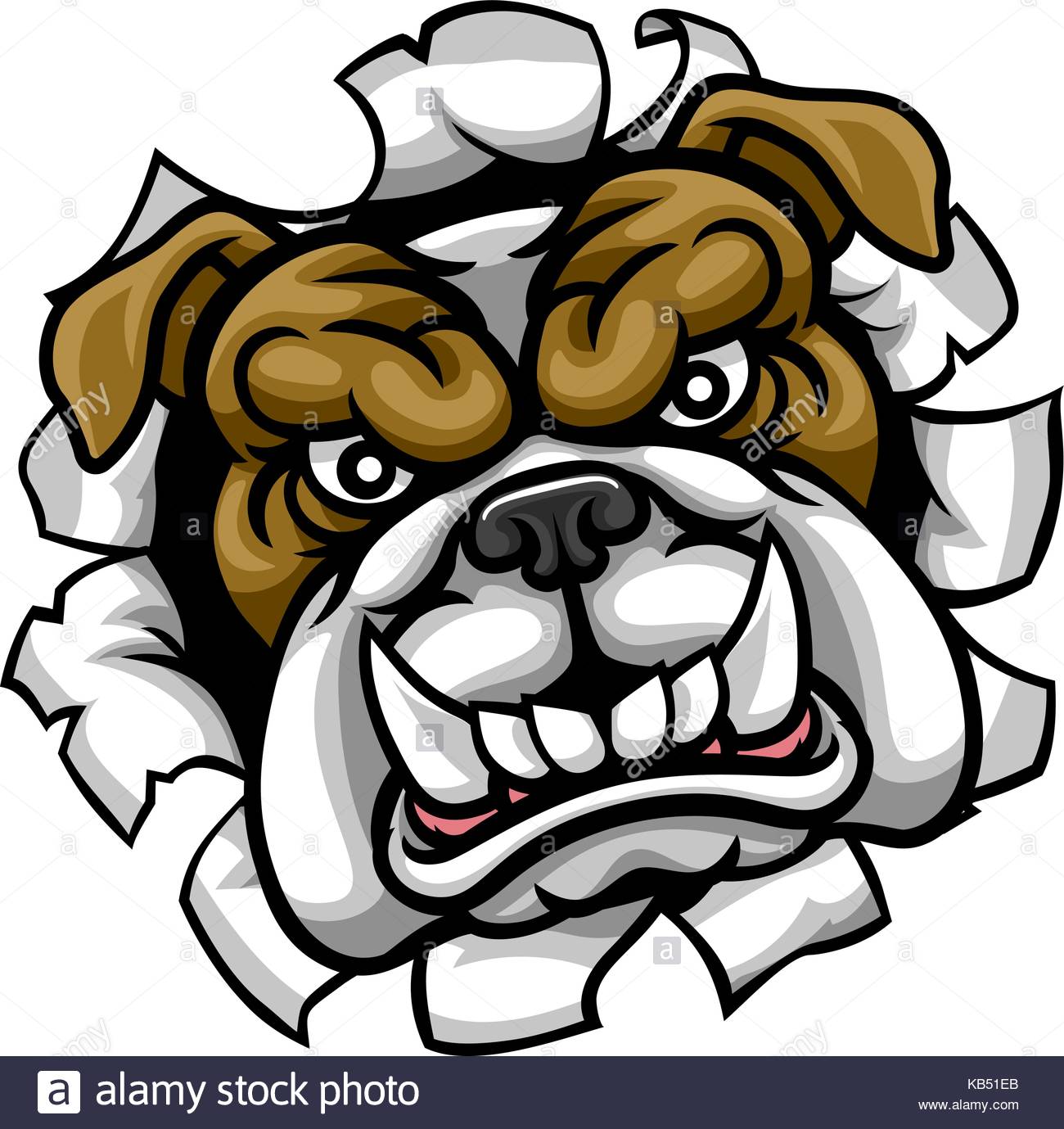 Bulldog Mascot Drawing at GetDrawings | Free download