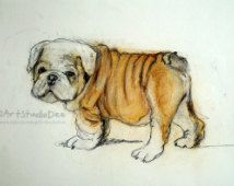 214x170 Pastel Drawing, Emotional Portrait Of English Bulldog Made By