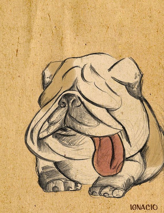 570x738 Custom Pet Portraits Drawing Digital File By Mrnostalgia On Etsy