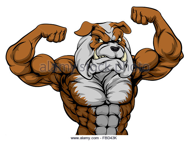 640x478 Mean Bulldog Cartoon