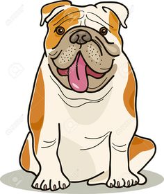 236x280 Wrinkly English Bulldog Sitting With Its Mouth Open English