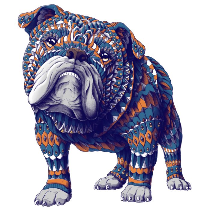 700x700 50 Best Bulldog Art Images On English Bulldogs