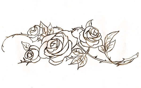 600x376 Roses Lineart By Rose Bullets
