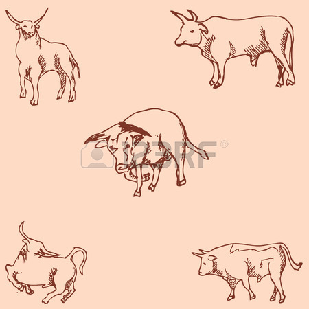 450x450 Bulls. Sketch Pencil. Drawing By Hand Vector Image Royalty Free