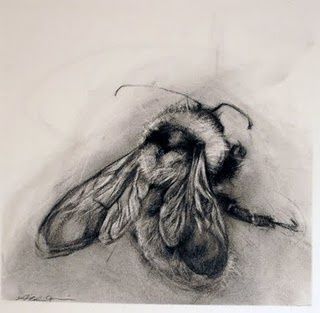 320x313 Drawn Bumblebee Realistic