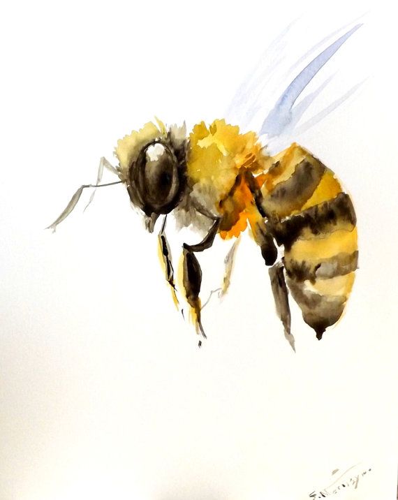 Bumblebee Insect Drawing at GetDrawings | Free download