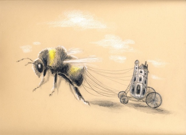 648x471 Brienna Pruce A Tale Of Two Drawings Bumble Bee Carriages