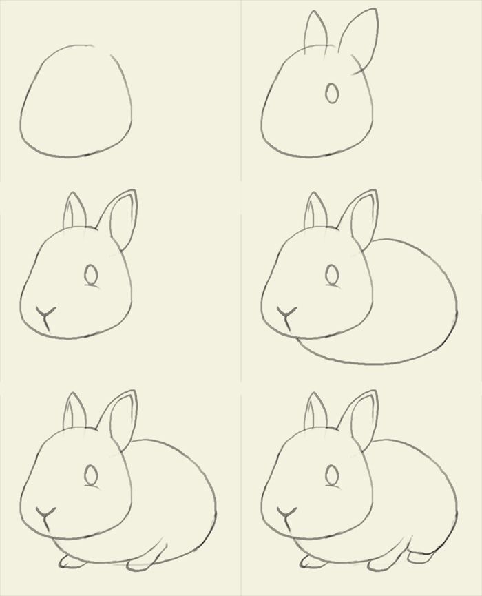 700x865 How To Draw Bunny. Learn To Draw A Cute Bunny Step By Step Images
