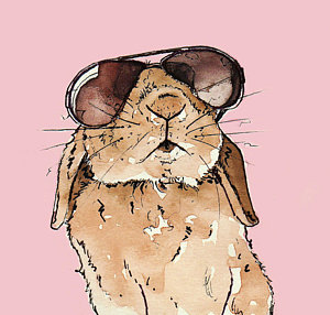 300x286 Bunny Drawings Fine Art America
