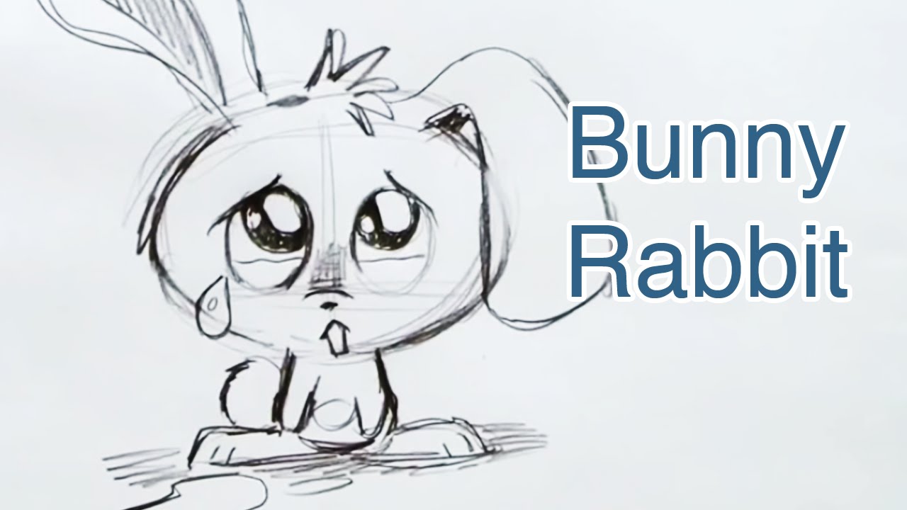 1280x720 How To Draw A Bunny Rabbit (Step By Step)