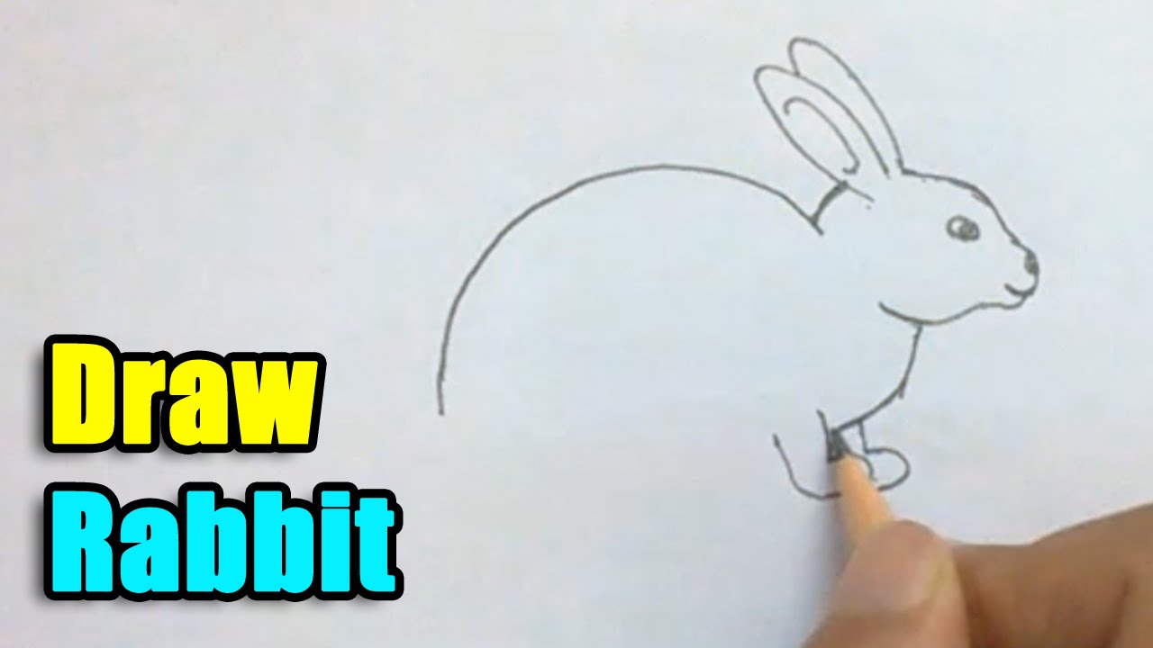 1280x720 How To Draw A Rabbit