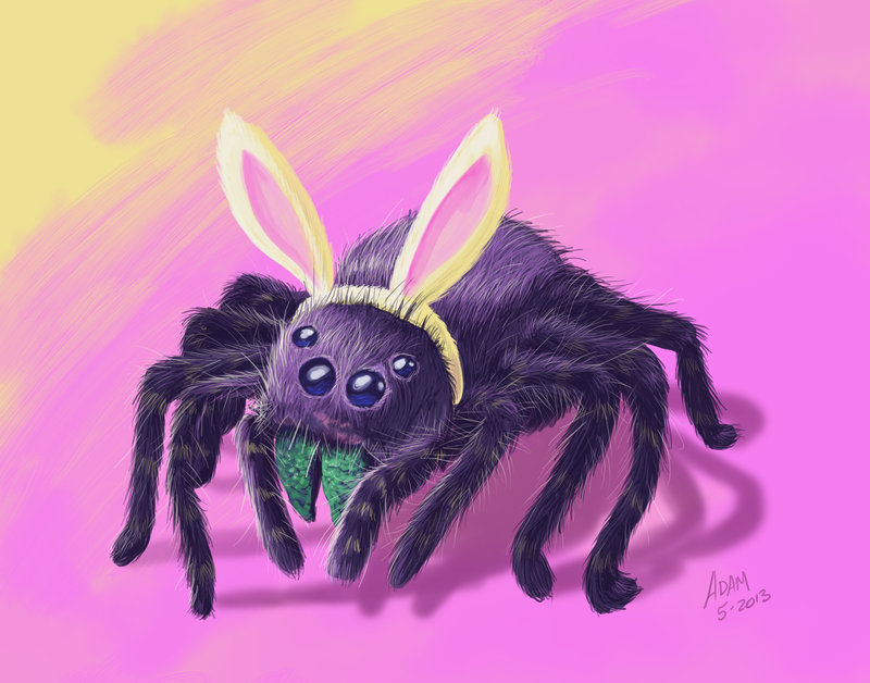 800x628 Tarantula With Bunny Ears ~ My First Digital Draw! By Jadamfox