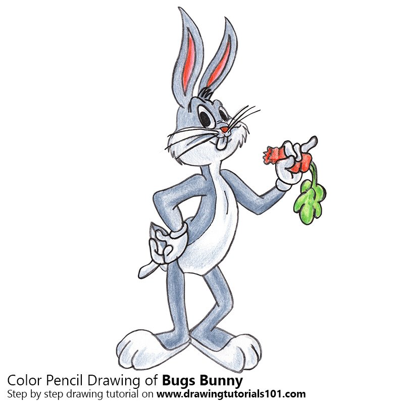 800x800 Bugs Bunny Colored Pencils