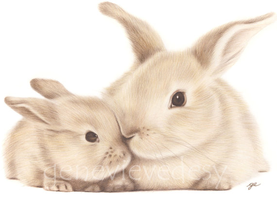570x421 Bunny Art Print Mother And Baby Bunny Mommy And Me Print